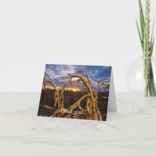 De Agradecimiento Tarjeta Ozarks Harvest (Anverso)