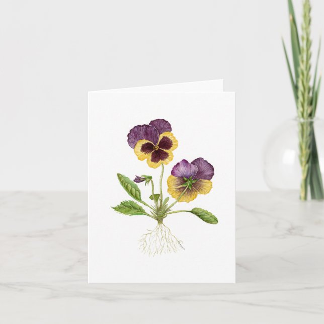 De Agradecimiento Tarjeta Pansy Blank (Anverso)