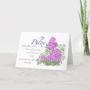De Agradecimiento Tarjeta Phlox Blank