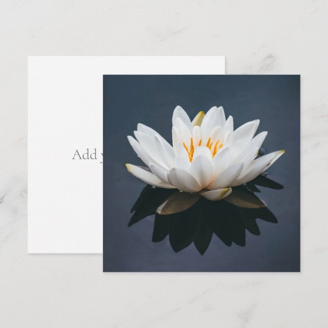 De Agradecimiento Tarjeta plana: LOTUS EN EL AGUA (Anverso / Reverso)