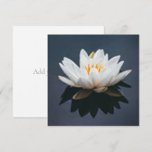 Tarjeta plana: LOTUS EN EL AGUA