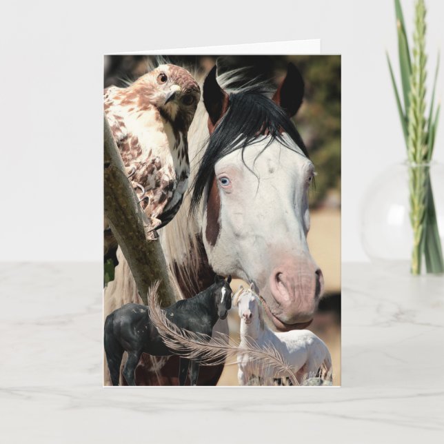 De Agradecimiento TARJETA SALVAJE "Mustang Meg" para sueños y plumas (Anverso)