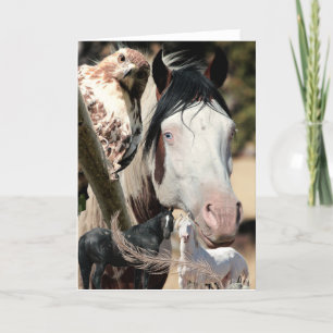 De Agradecimiento TARJETA SALVAJE "Mustang Meg" para sueños y plumas