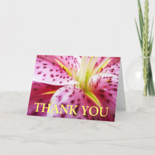 De Agradecimiento Tarjeta Stargazer Lily Gracias (Blank Inside)
