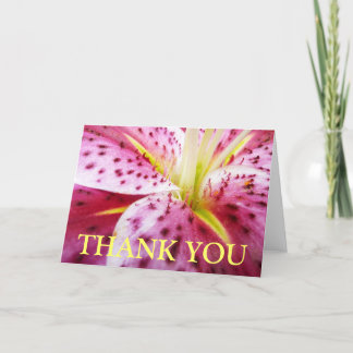 De Agradecimiento Tarjeta Stargazer Lily Gracias (Blank Inside)