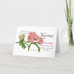 De Agradecimiento Tarjeta Yarrow Blank