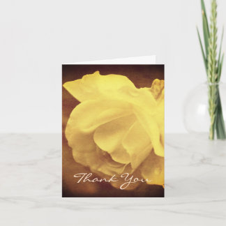 De Agradecimiento Vintage Sepia White Rose Floral Gracias Tarjeta