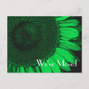 De Anuncios Girasol verde Nueva dirección postal floral