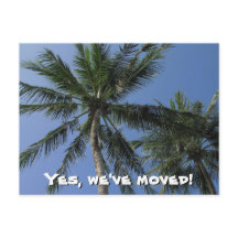 Nos hemos movido - Palmeras en la postal
