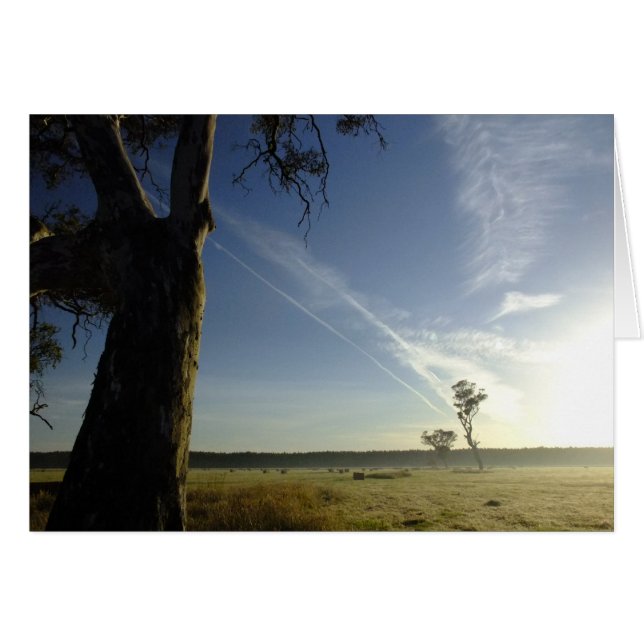 De aquí a allá (Anverso (Horizontal))