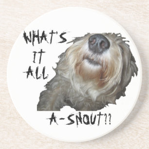 De Arenisca Perro "¿QUÉ ES TODO A-SNOUT?" Posavasos