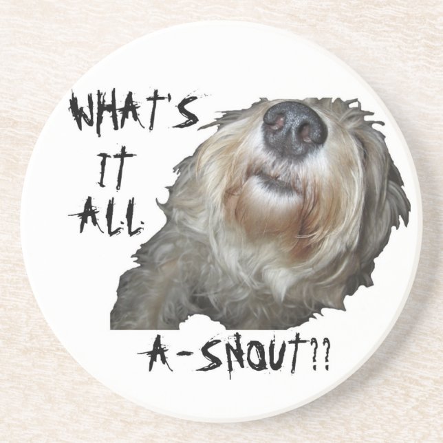 De Arenisca Perro "¿QUÉ ES TODO A-SNOUT?" Posavasos (Frente)