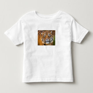De Bebé Cute Camiseta Infantil Foto Tigre Salvaje