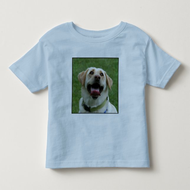 De Bebé Labrador amarillo embroma la camiseta (Anverso)