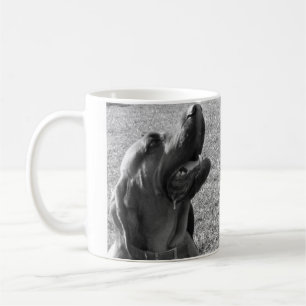 De Café Amigo, ¿Dónde está mi café? Taza