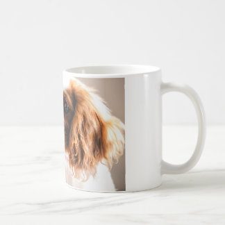 De Café Amo a mi rey arrogante TAZA