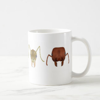 De Café Cuatro hormigas en una taza