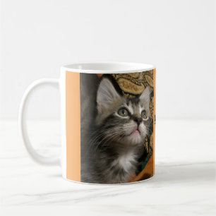 De Café El gatito "guarda el mirar para arriba!" Taza