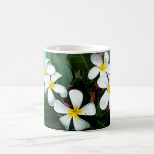 De Café El Plumeria hawaiano florece la taza