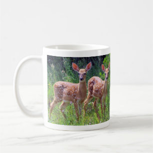 De Café Gemelos del cervatillo en la taza del Hawkweed