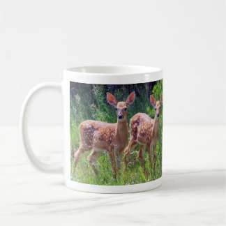 De Café Gemelos del cervatillo en la taza del Hawkweed