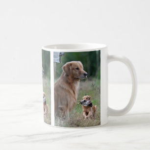 De Café Golden retriever con la taza del collage del pato