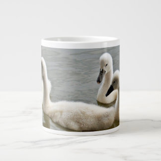 De Café Grande cisnes en taza del agua