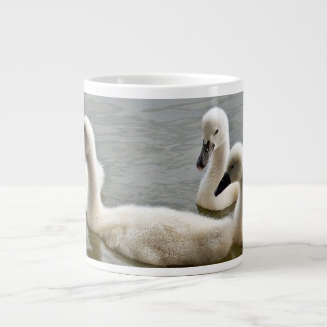 De Café Grande cisnes en taza del agua (Frente)