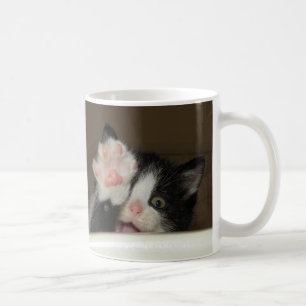 De Café "Hola!" taza del gatito