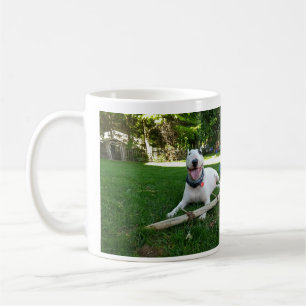 De Café La felicidad es una buena taza del palillo