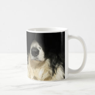 De Café La nariz del perro encerró la taza