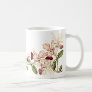 De Café La orquídea del vintage florece la taza