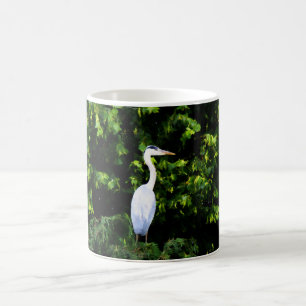 De Café La Taza del Pájaro Blanco