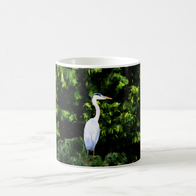 De Café La Taza del Pájaro Blanco (Centro)