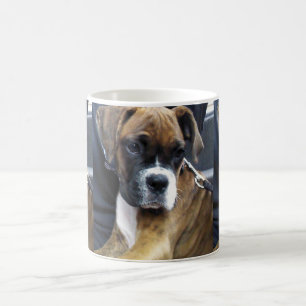 De Café La taza del PERRO del BOXEADOR