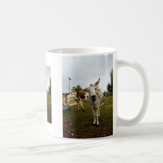 De Café La taza inquisitiva del burro (Derecha)