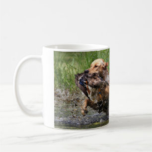De Café Labrador retriever amarillo con la taza del pato