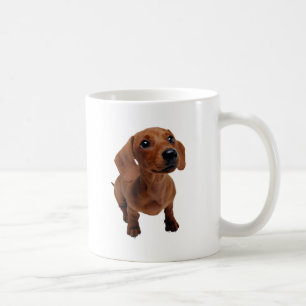 De Café Mini taza del Dachshund