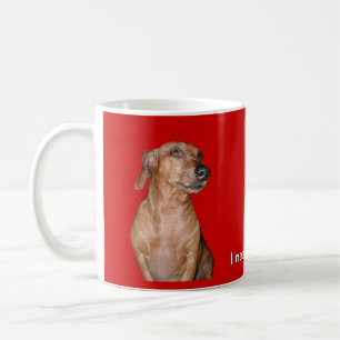 De Café Necesito la taza del Dachshund del cafeína