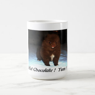 De Café Perrito pomeranian del chocolate en la taza