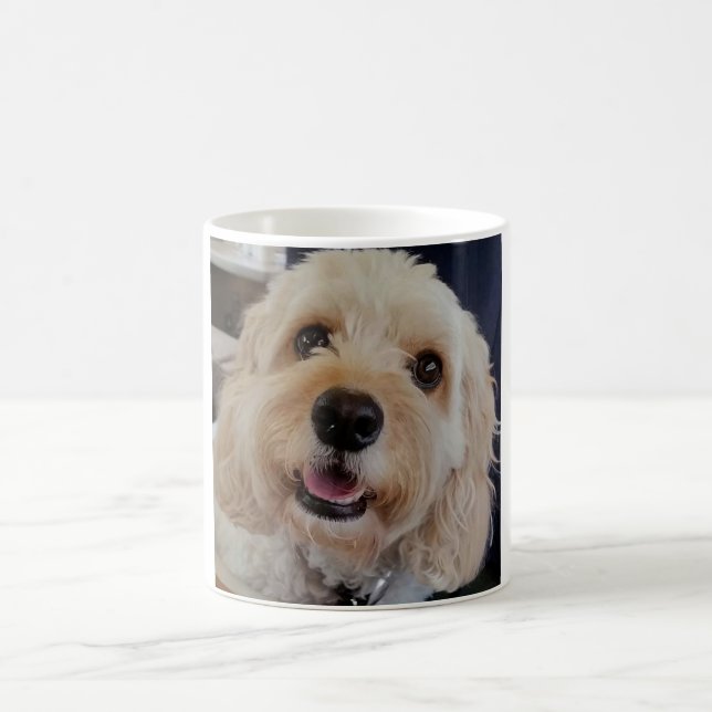 De Café PhoebethePrincess Cavapoo en una taza blanca (Centro)