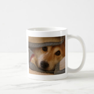 De Café Shiba en una taza combinada