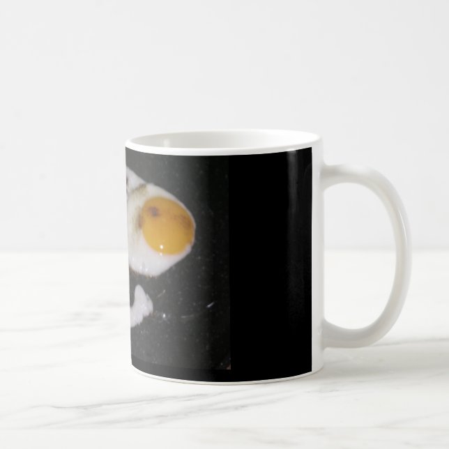 De Café Tai Chi Yin Yang taza (Derecha)