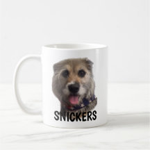 Taza