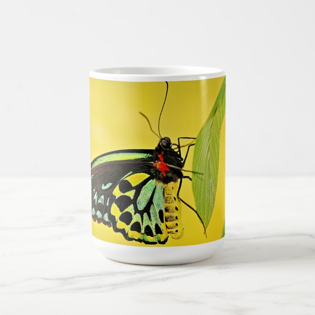 De Café Taza (Centro)