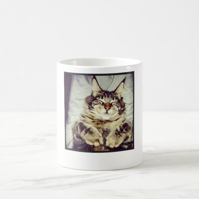 De Café Taza (Centro)