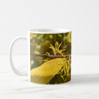De Café Taza