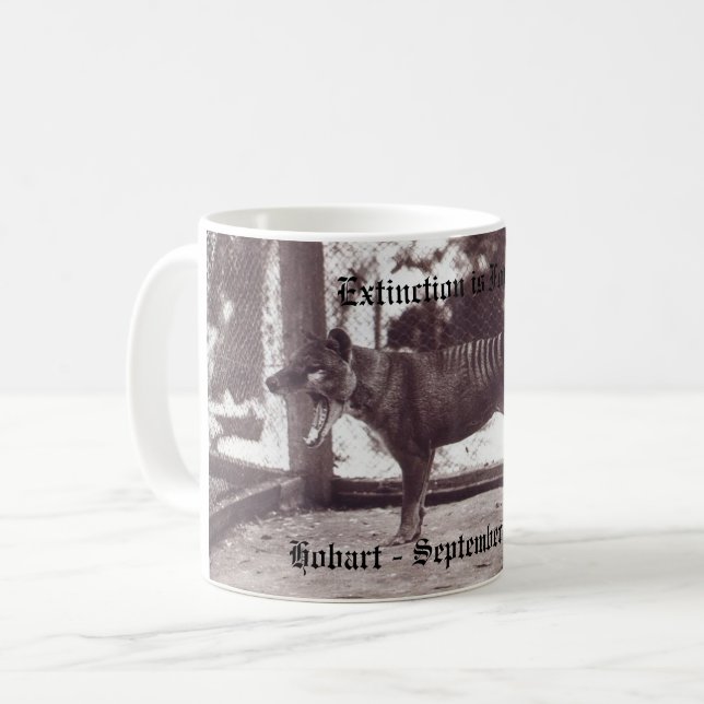 De Café Taza (Anverso izquierdo)