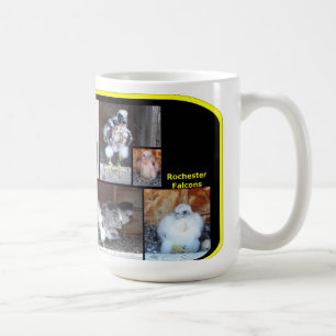 De Café Taza 2012