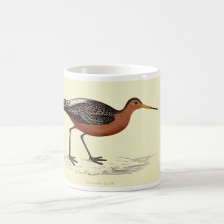 De Café Taza - agachadiza atada barra